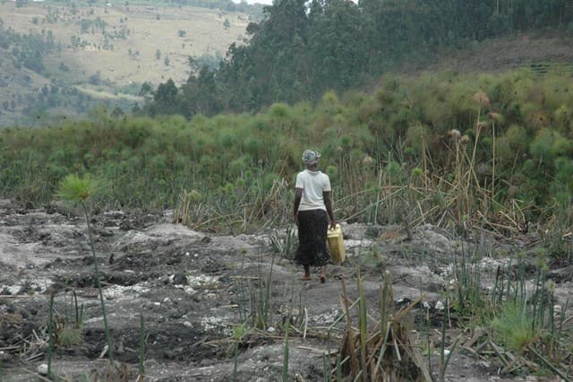 REPORT: Uganda’s Wetlands face Depletion by 2040