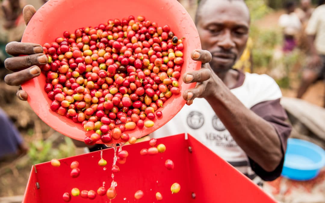 Uganda sees 29% growth in exports as coffee, mineral demand soars