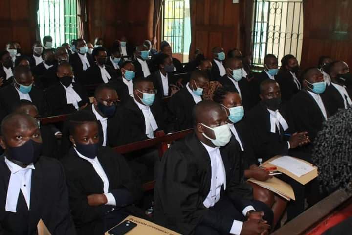 High Court Enrolls 208 New Advocates