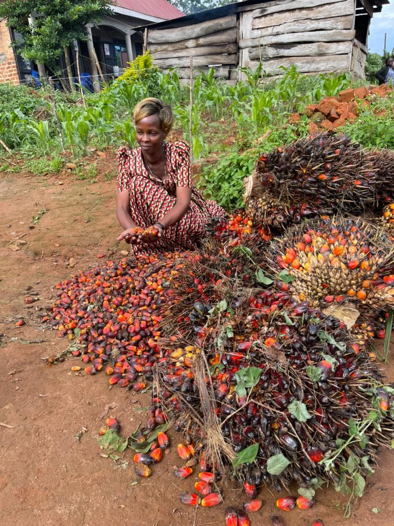 Buvuma Island is The Next Frontier for Long Term Investors