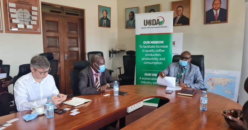 Ugandan Coffee Attracts Russian Investors
