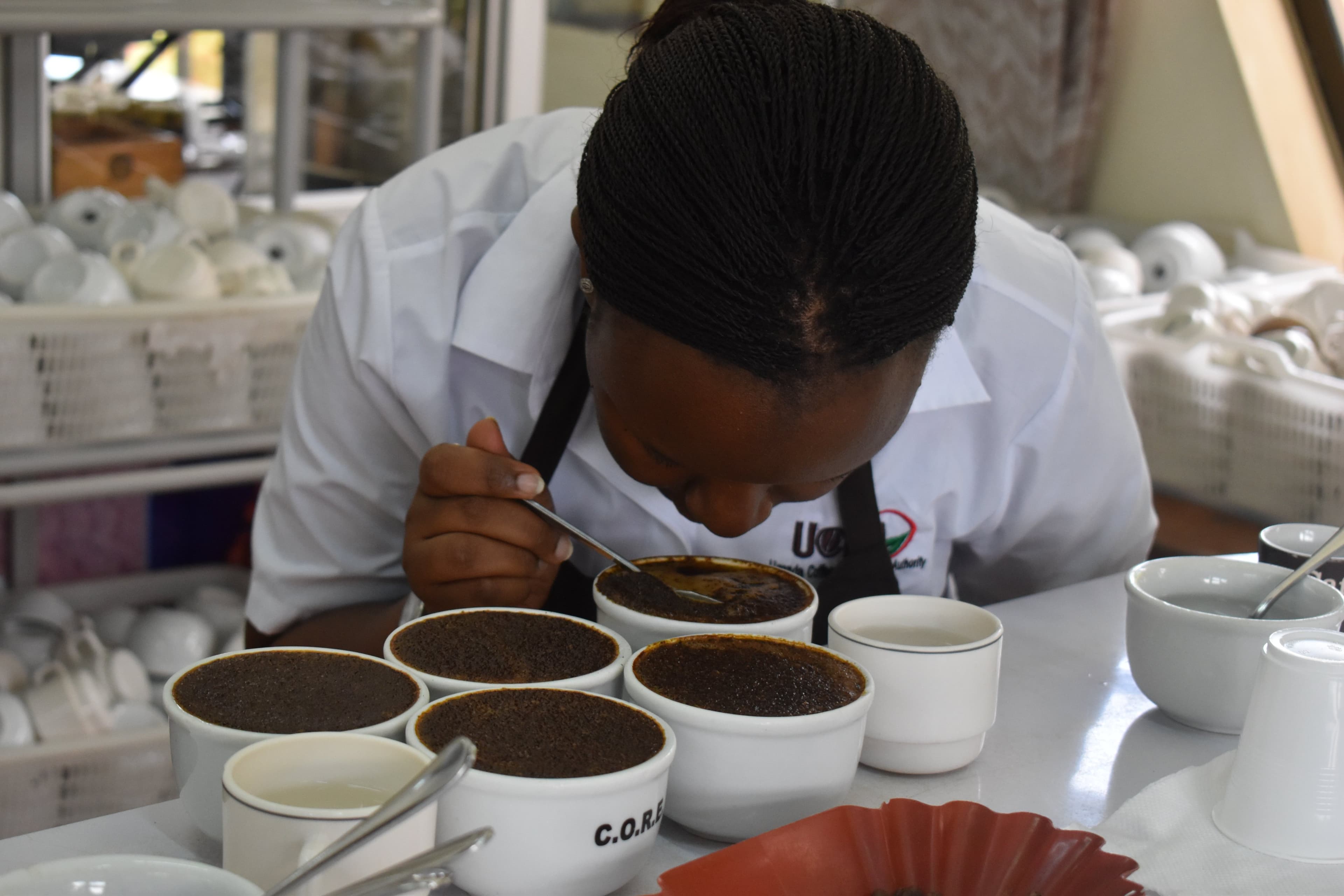 Uganda's Coffee Exports Rise 38% to $718 Million in 2021 