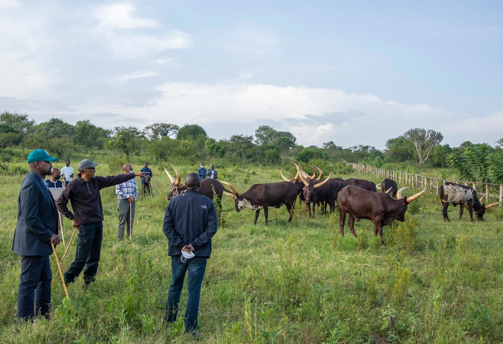 Rwanda Visit: Kagame Gives Gen Kainerugaba 10 Inyambo Cows