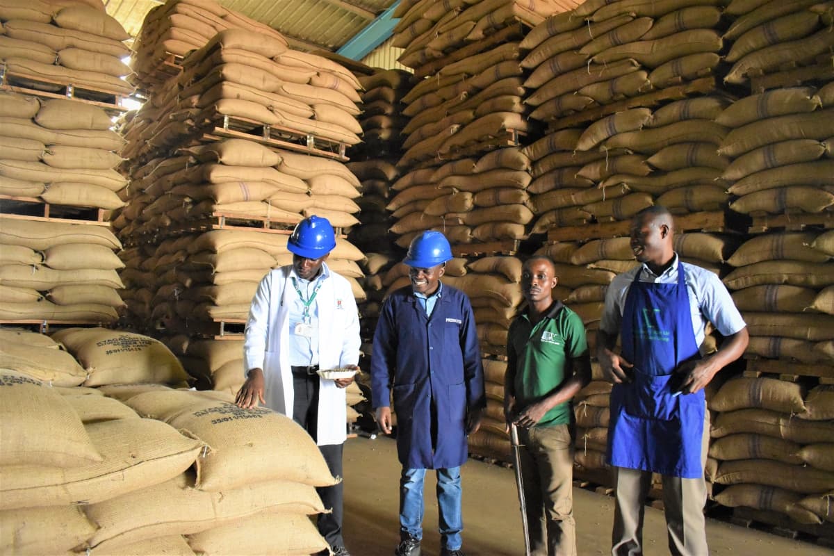 Uganda Optimistic about Coffee Sector as June Earnings Hit Shs315Bn