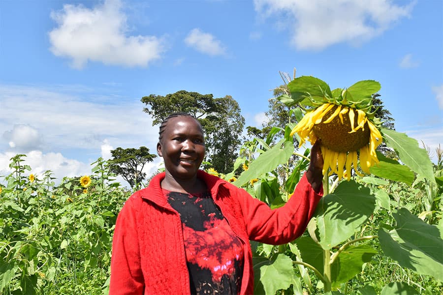 Government Allocates Shs9bn to NAADS to Boost Production of Oil Crops