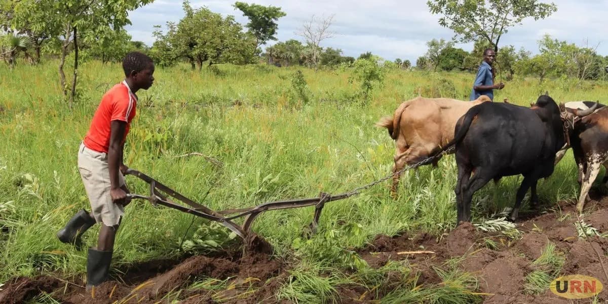 Tomorrow is beautiful - The promise of the Parish Development Model to Ugandans