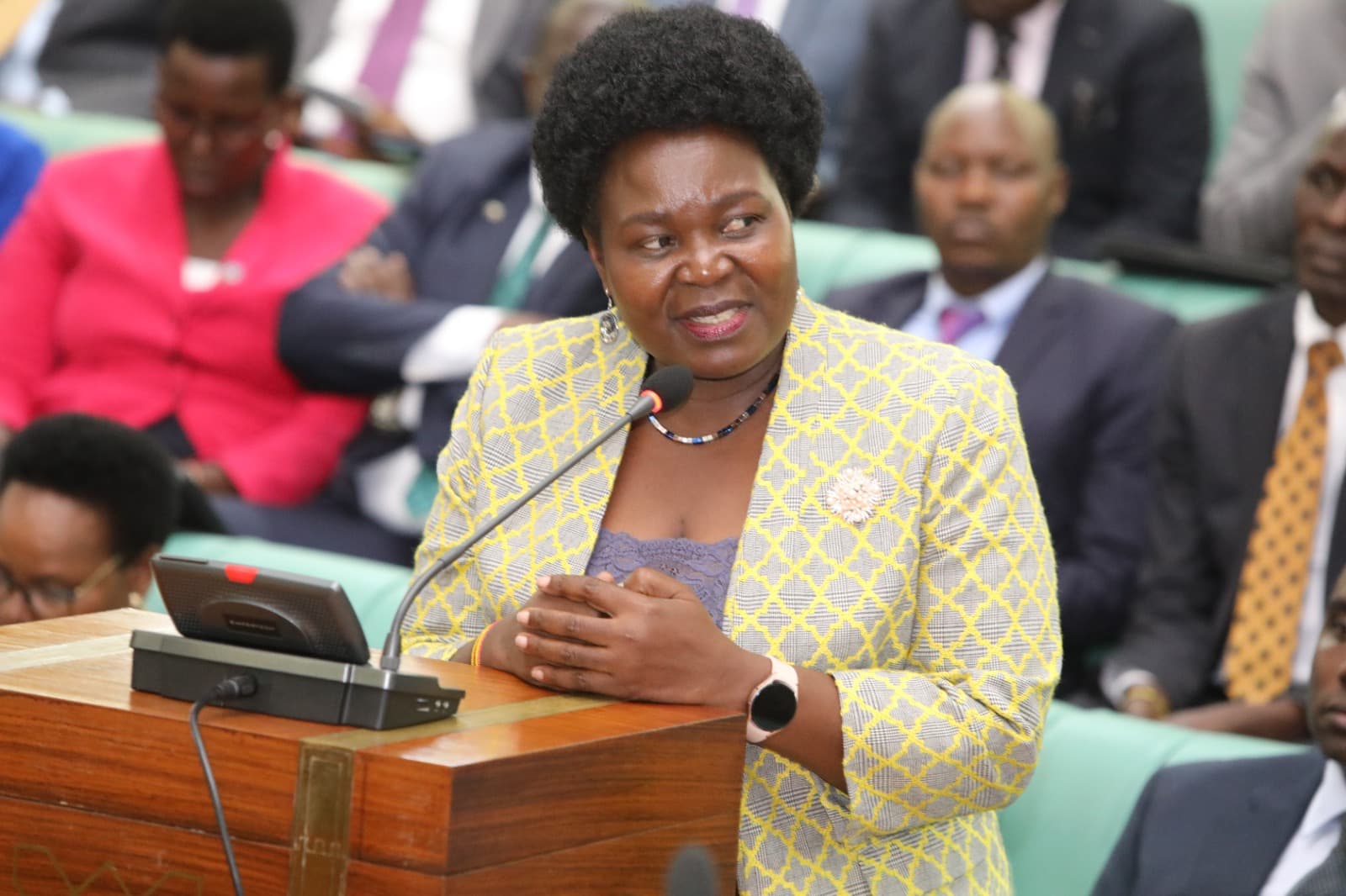 Bill giving Govt Monopoly to Import Petroleum Products Tabled