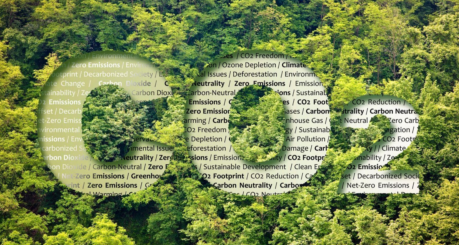 Climate Change: Only a Fifth of Companies Are on Track for Net Zero - Report