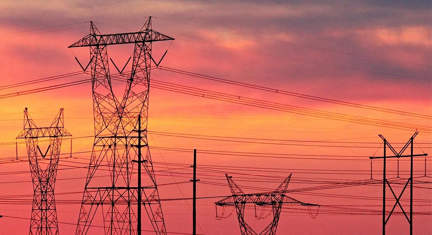 MPs Urge Govt to Improve Rural Electricity Access for Agricultural Value-Addition