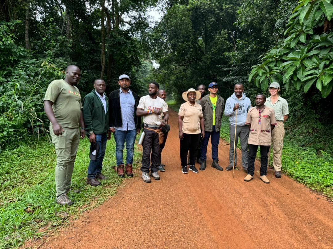 NFA and Bugoma Primate Project Launch Eco-Tourism Initiative to Boost Conservation