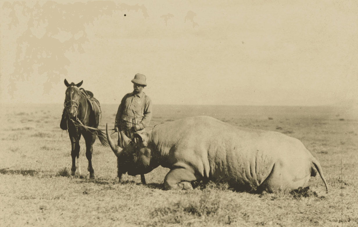 Uganda Targets $5 Million for Rhino Rewilding Through Roosevelt Campaign