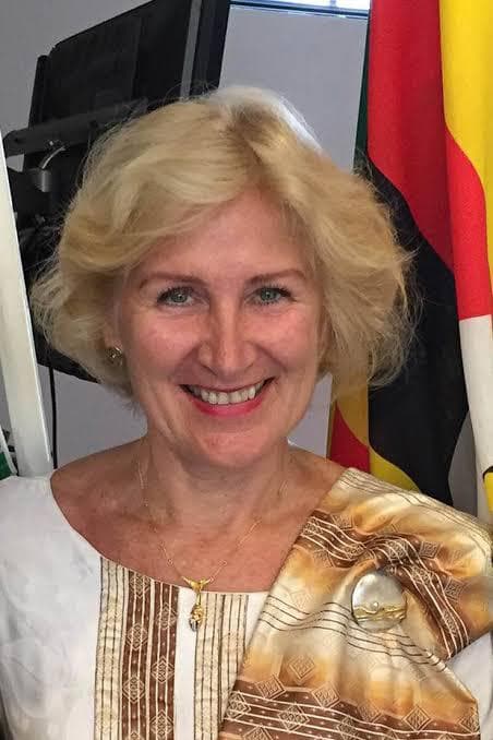 President Probes Eternal Ambassadors in Diplomatic Missions Abroad