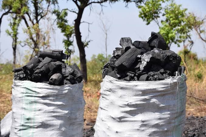 UPDF Enforces Ban on Charcoal Trade in Northern Uganda