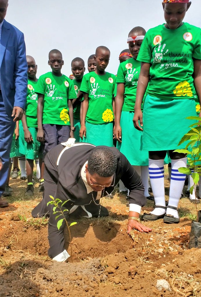 Among urges Leaders to Champion Tree-Planting Campaigns