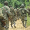 UPDF Kills 22 ADF Terrorists in Saturday Gunfire