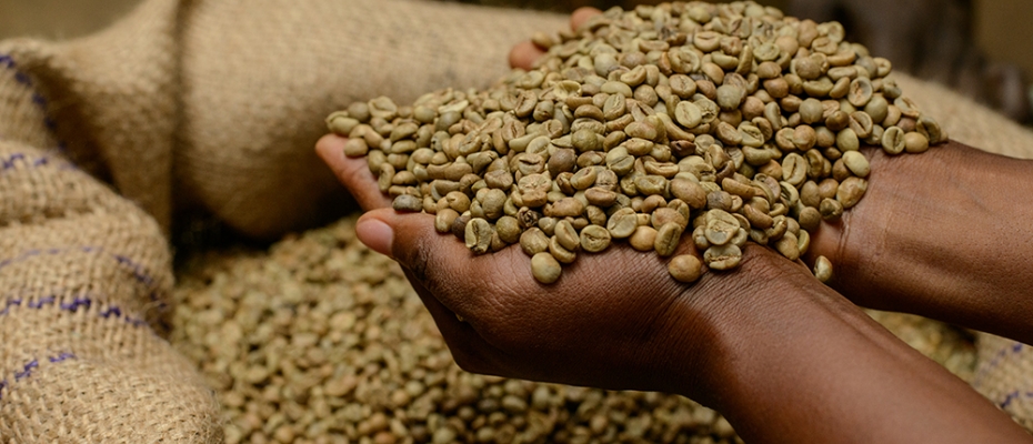 Ugandan coffee